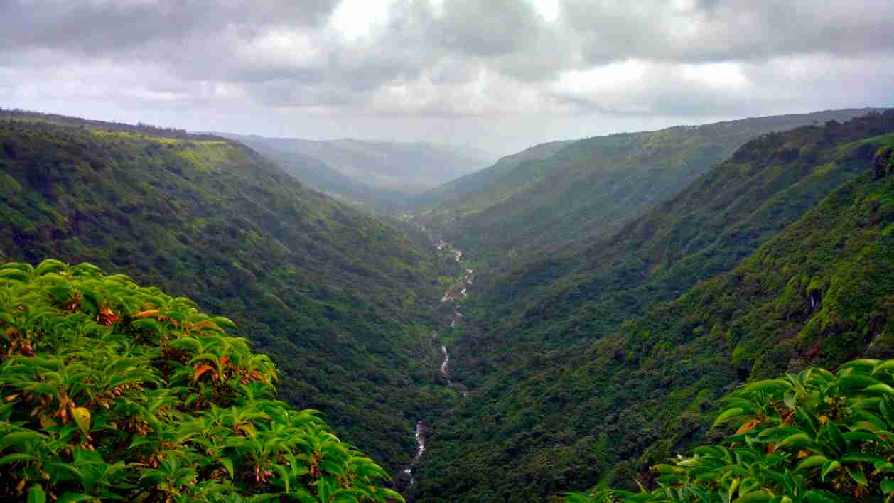 Araku Valley